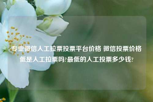 专业微信人工拉票投票平台价格 微信投票价格低是人工拉票吗?最低的人工投票多少钱?