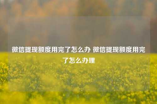 微信提现额度用完了怎么办 微信提现额度用完了怎么办理