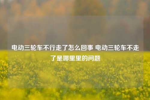 电动三轮车不行走了怎么回事 电动三轮车不走了是哪里里的问题