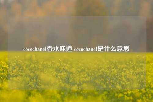 cocochanel香水味道 cocochanel是什么意思