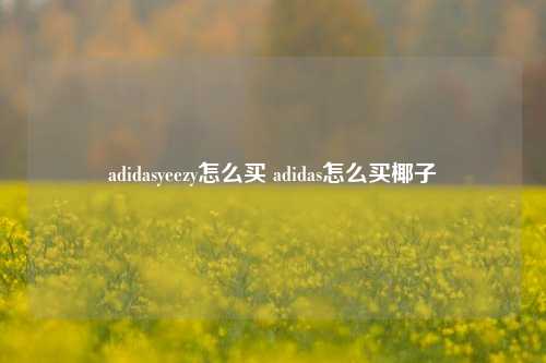 adidasyeezy怎么买 adidas怎么买椰子