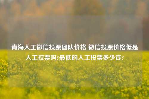 青海人工微信投票团队价格 微信投票价格低是人工拉票吗?最低的人工投票多少钱?