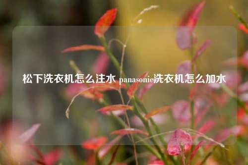 松下洗衣机怎么注水 panasonic洗衣机怎么加水