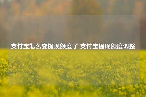 支付宝怎么变提现额度了 支付宝提现额度调整