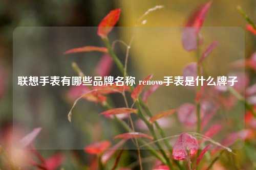 联想手表有哪些品牌名称 renovo手表是什么牌子