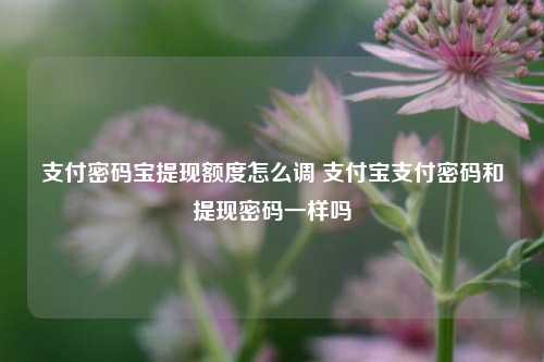 支付密码宝提现额度怎么调 支付宝支付密码和提现密码一样吗