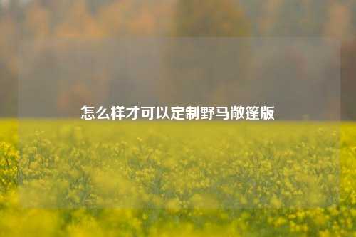 怎么样才可以定制野马敞篷版