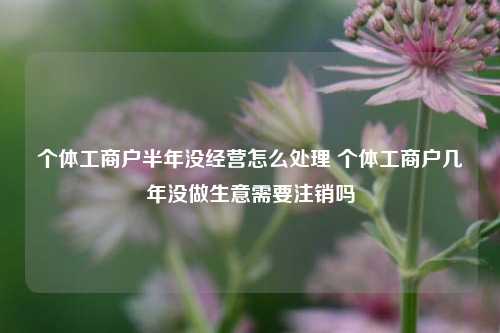 个体工商户半年没经营怎么处理 个体工商户几年没做生意需要注销吗