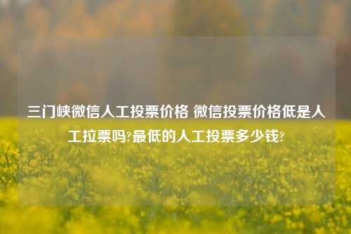 三门峡微信人工投票价格 微信投票价格低是人工拉票吗?最低的人工投票多少钱?