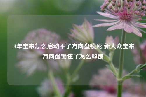 14年宝来怎么启动不了方向盘锁死 新大众宝来方向盘锁住了怎么解锁