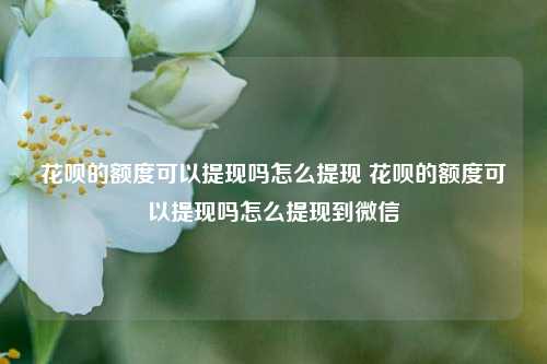 花呗的额度可以提现吗怎么提现 花呗的额度可以提现吗怎么提现到微信