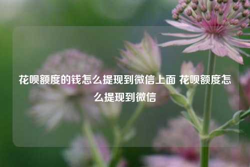 花呗额度的钱怎么提现到微信上面 花呗额度怎么提现到微信