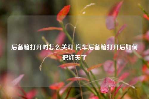 后备箱打开时怎么关灯 汽车后备箱打开后如何把灯关了