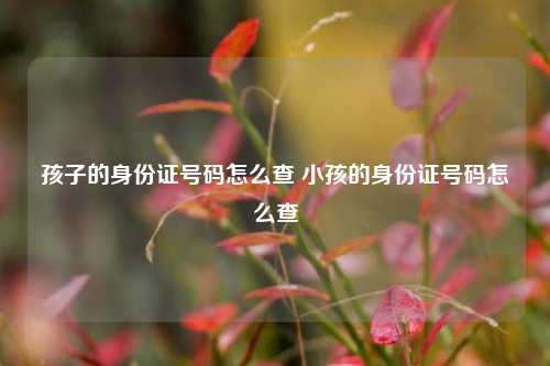 孩子的身份证号码怎么查 小孩的身份证号码怎么查