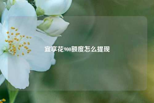 宜享花900额度怎么提现