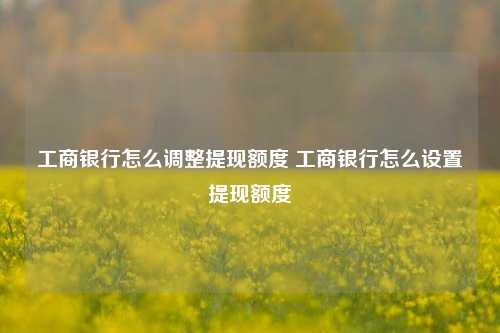 工商银行怎么调整提现额度 工商银行怎么设置提现额度