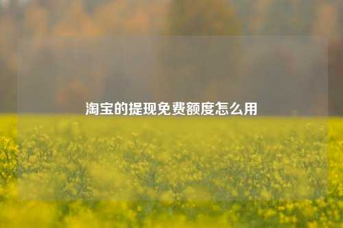 淘宝的提现免费额度怎么用