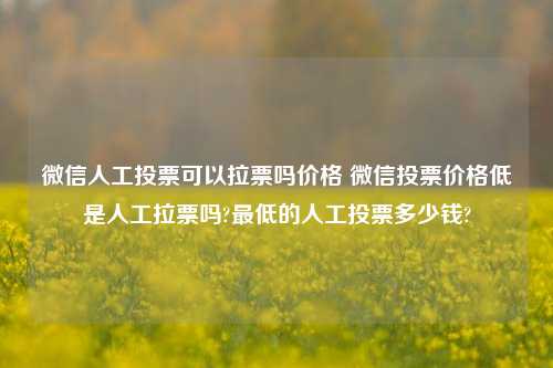 微信人工投票可以拉票吗价格 微信投票价格低是人工拉票吗?最低的人工投票多少钱?