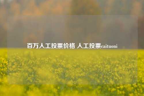 百万人工投票价格 人工投票caituoni