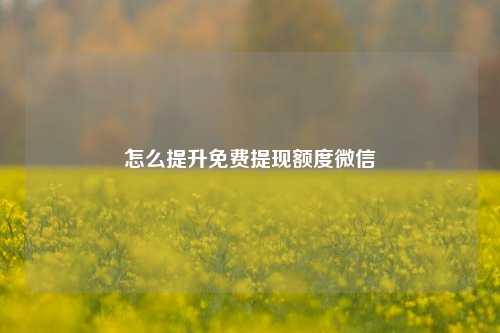 怎么提升免费提现额度微信