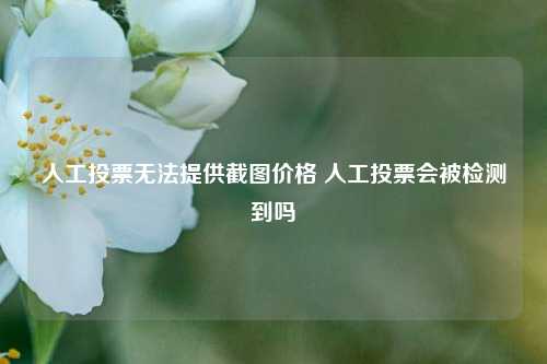 人工投票无法提供截图价格 人工投票会被检测到吗