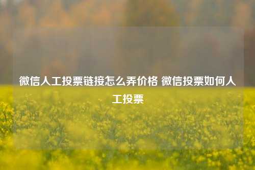 微信人工投票链接怎么弄价格 微信投票如何人工投票