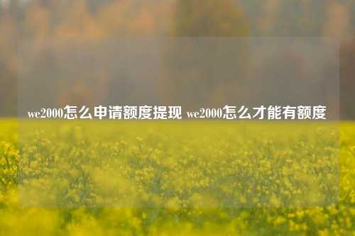 we2000怎么申请额度提现 we2000怎么才能有额度