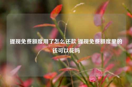 提现免费额度用了怎么还款 提现免费额度里的钱可以花吗