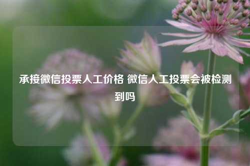 承接微信投票人工价格 微信人工投票会被检测到吗