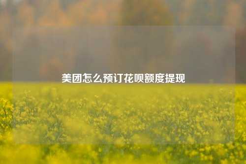 美团怎么预订花呗额度提现