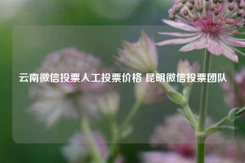 云南微信投票人工投票价格 昆明微信投票团队