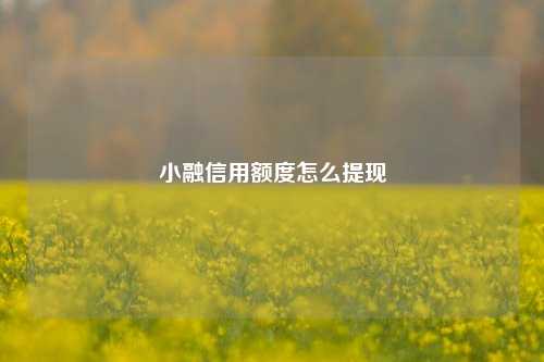 小融信用额度怎么提现