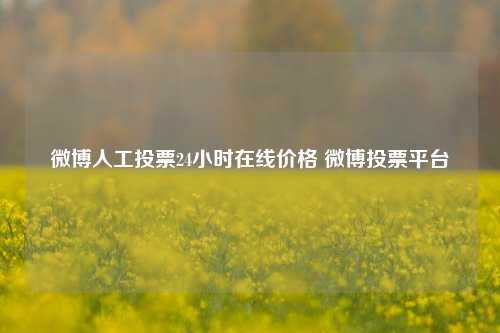 微博人工投票24小时在线价格 微博投票平台