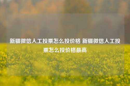 新疆微信人工投票怎么投价格 新疆微信人工投票怎么投价格最高