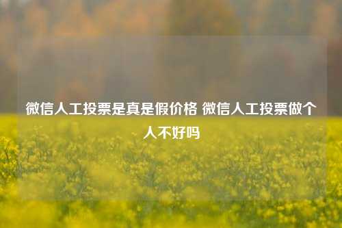 微信人工投票是真是假价格 微信人工投票做个人不好吗