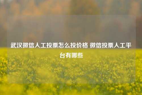 武汉微信人工投票怎么投价格 微信投票人工平台有哪些