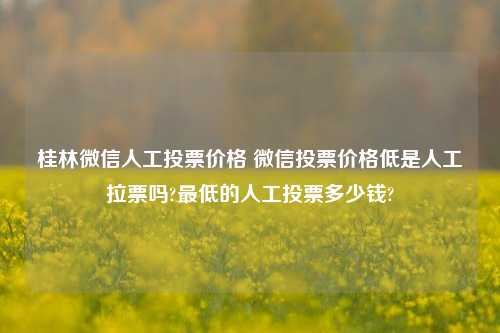 桂林微信人工投票价格 微信投票价格低是人工拉票吗?最低的人工投票多少钱?