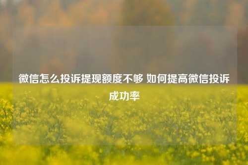 微信怎么投诉提现额度不够 如何提高微信投诉成功率