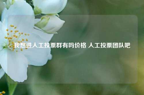 我想进人工投票群有吗价格 人工投票团队吧