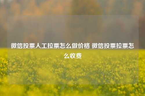 微信投票人工拉票怎么做价格 微信投票拉票怎么收费