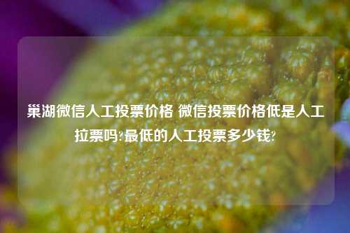 巢湖微信人工投票价格 微信投票价格低是人工拉票吗?最低的人工投票多少钱?