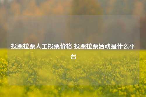 投票拉票人工投票价格 投票拉票活动是什么平台