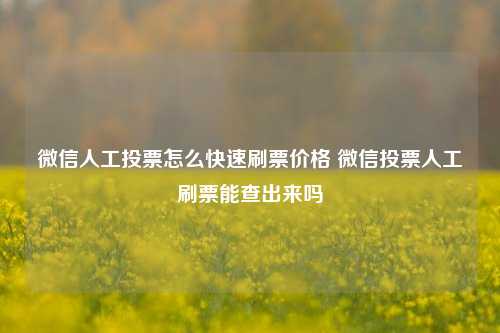 微信人工投票怎么快速刷票价格 微信投票人工刷票能查出来吗