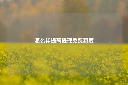 怎么样提高提现免费额度