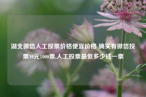 湖北微信人工投票价格便宜价格 确实有微信投票10元1000票,人工投票最低多少钱一票