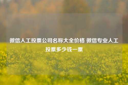 微信人工投票公司名称大全价格 微信专业人工投票多少钱一票