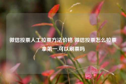 微信投票人工拉票方法价格 微信投票怎么拉票拿第一,可以刷票吗