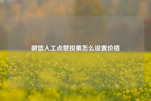 微信人工点赞投票怎么设置价格