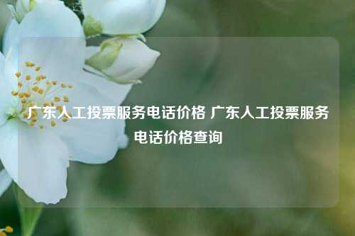 广东人工投票服务电话价格 广东人工投票服务电话价格查询