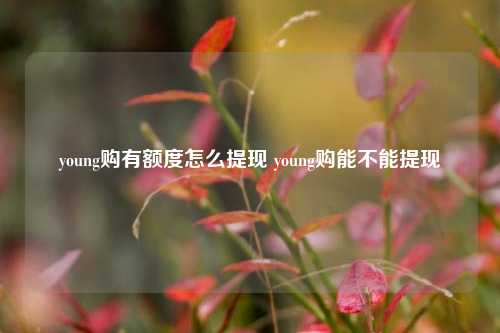 young购有额度怎么提现 young购能不能提现